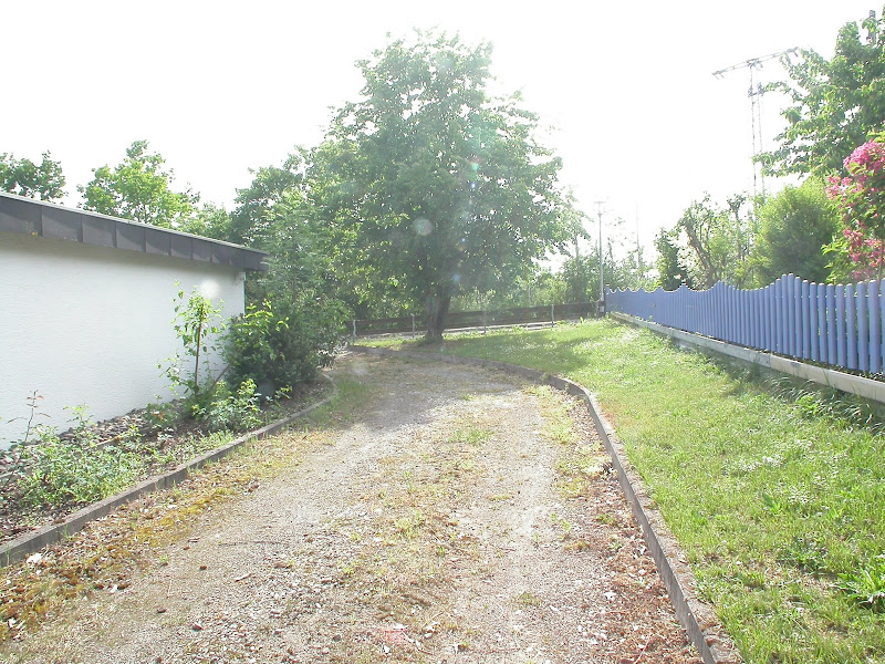 DSCN0975.JPG