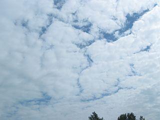 bk2rxf91d706n7hgl.jpg