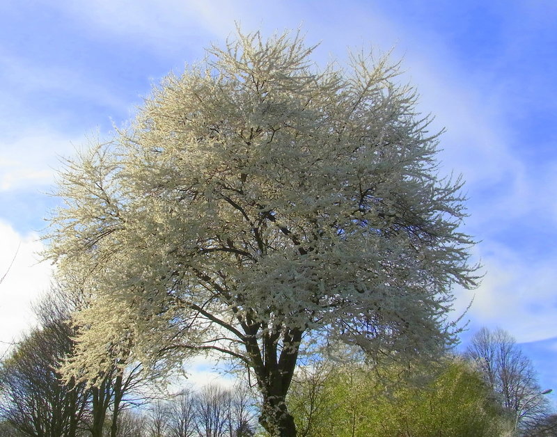 28871643lr.jpg