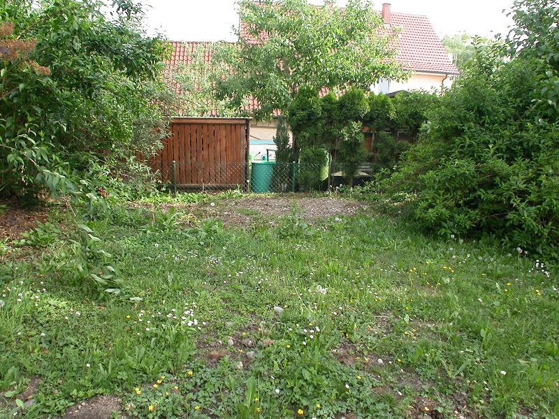 DSCN1000.JPG
