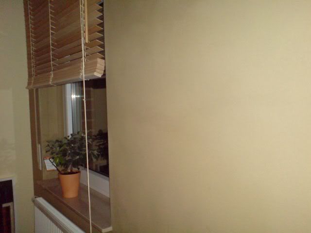 DSC00116640x480.jpg