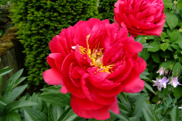 32793004hl.jpg