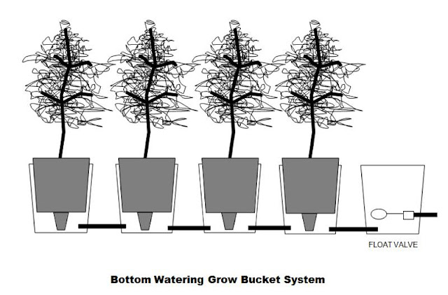 Grow+Bucket+Syatem.jpg