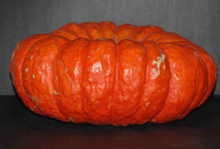 cinderella-pumpkin.jpg