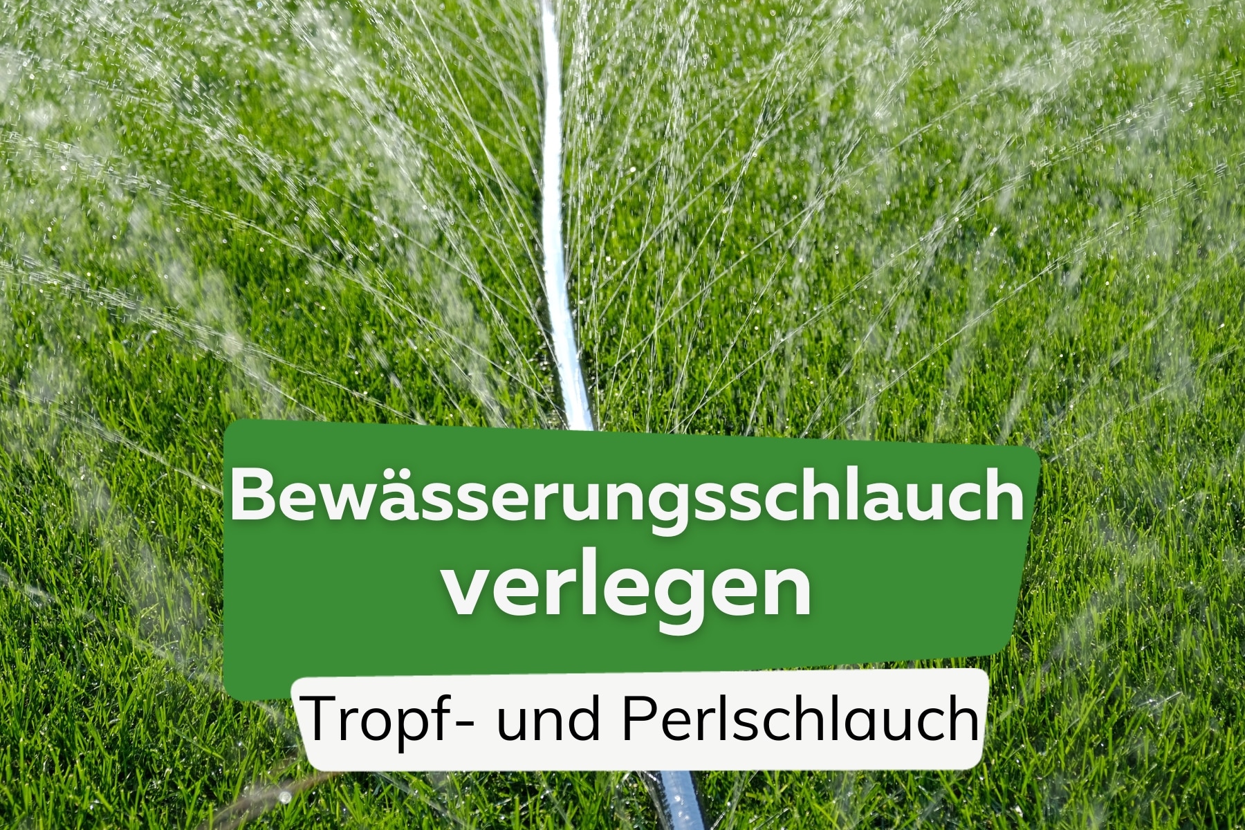 www.plantopedia.de