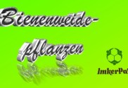 www.imkerpate.de