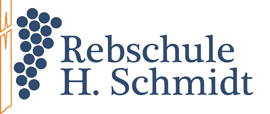 www.rebschule-schmidt.de